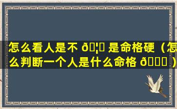 怎么看人是不 🦈 是命格硬（怎么判断一个人是什么命格 🐛 ）